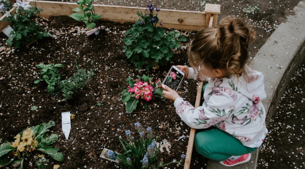 10 Best Gardening Apps for Android and iOS 2020