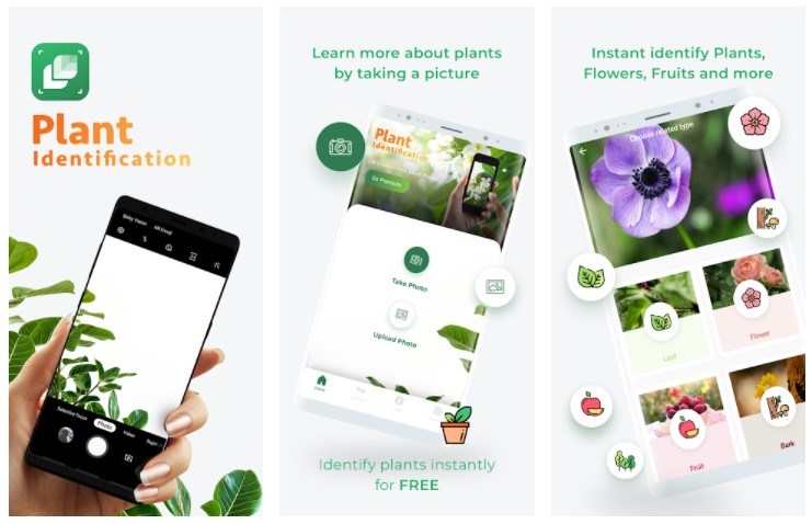 Best Gardening Apps: LeafSnap