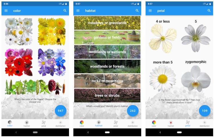 Best Gardening Apps: What’s That Flower?