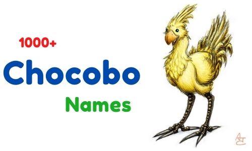 Chocobo Names