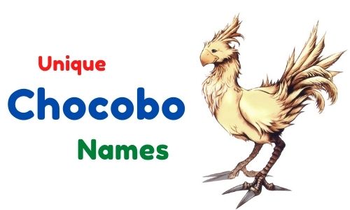 Unique Chocobo Names
