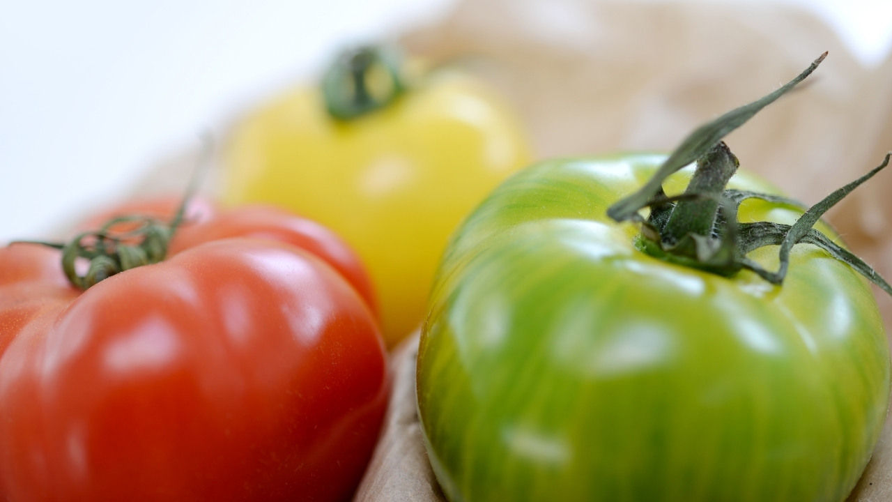 Here’s The Difference between Spanish “Tomate” & “Jitomate”