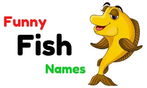 fish names