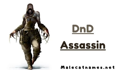 DnD Assassin