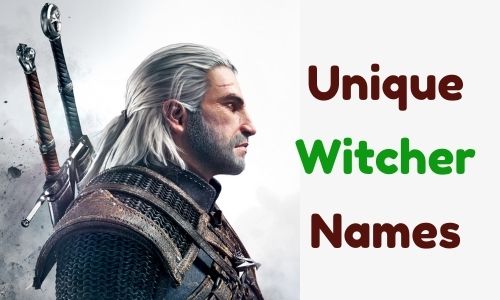 Unique Names For Witcher