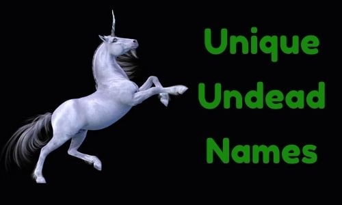Unique Names Unicorn