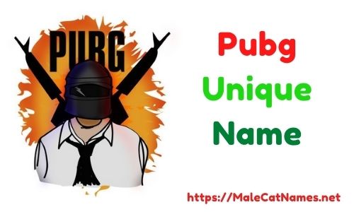 Pubg Unique Name