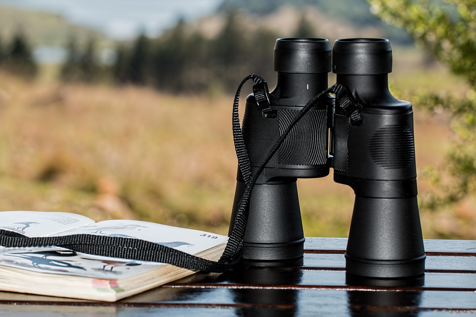 Birdwatching book and binoculars