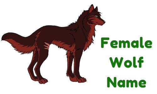 Female Wolf Name