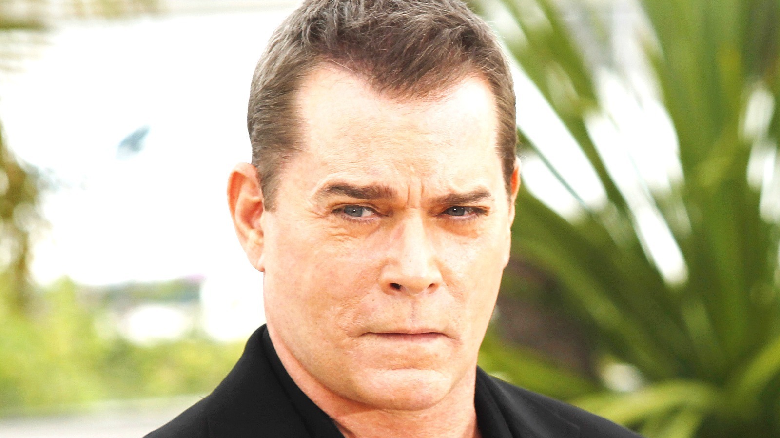 Who Could Ray Liotta Play In The Many Saints Of Newark?