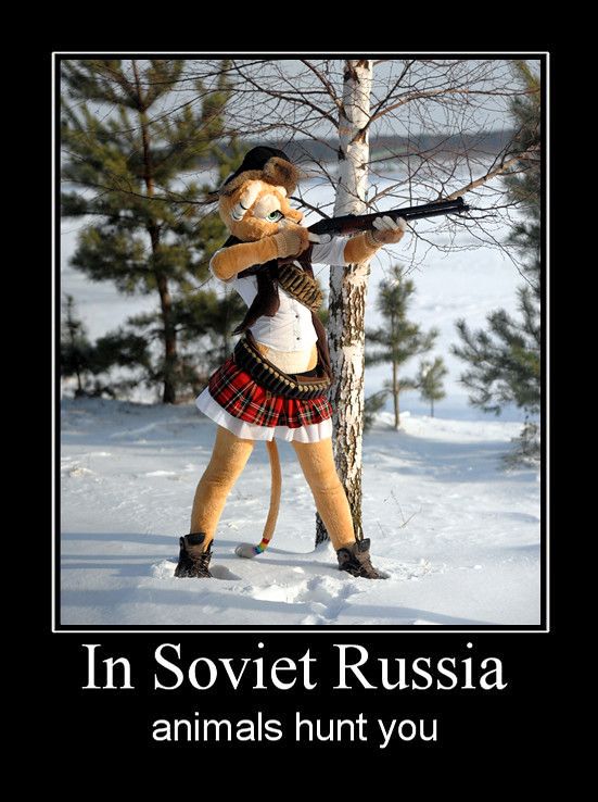 In Soviet Russia animals hunt you