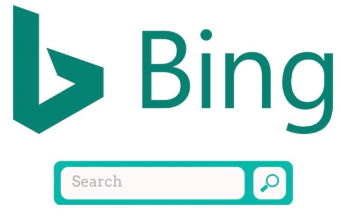 Bing Reverse Image Search