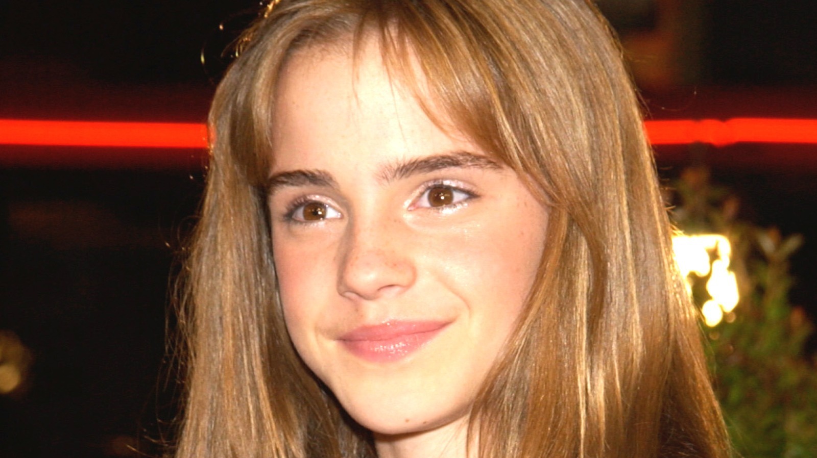 Why Emma Watson Thought She'd Lose Hermione At Her Audition