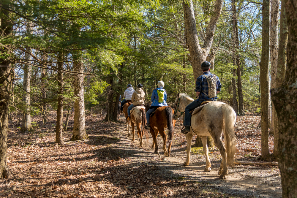 41 Trail Riding Group Names