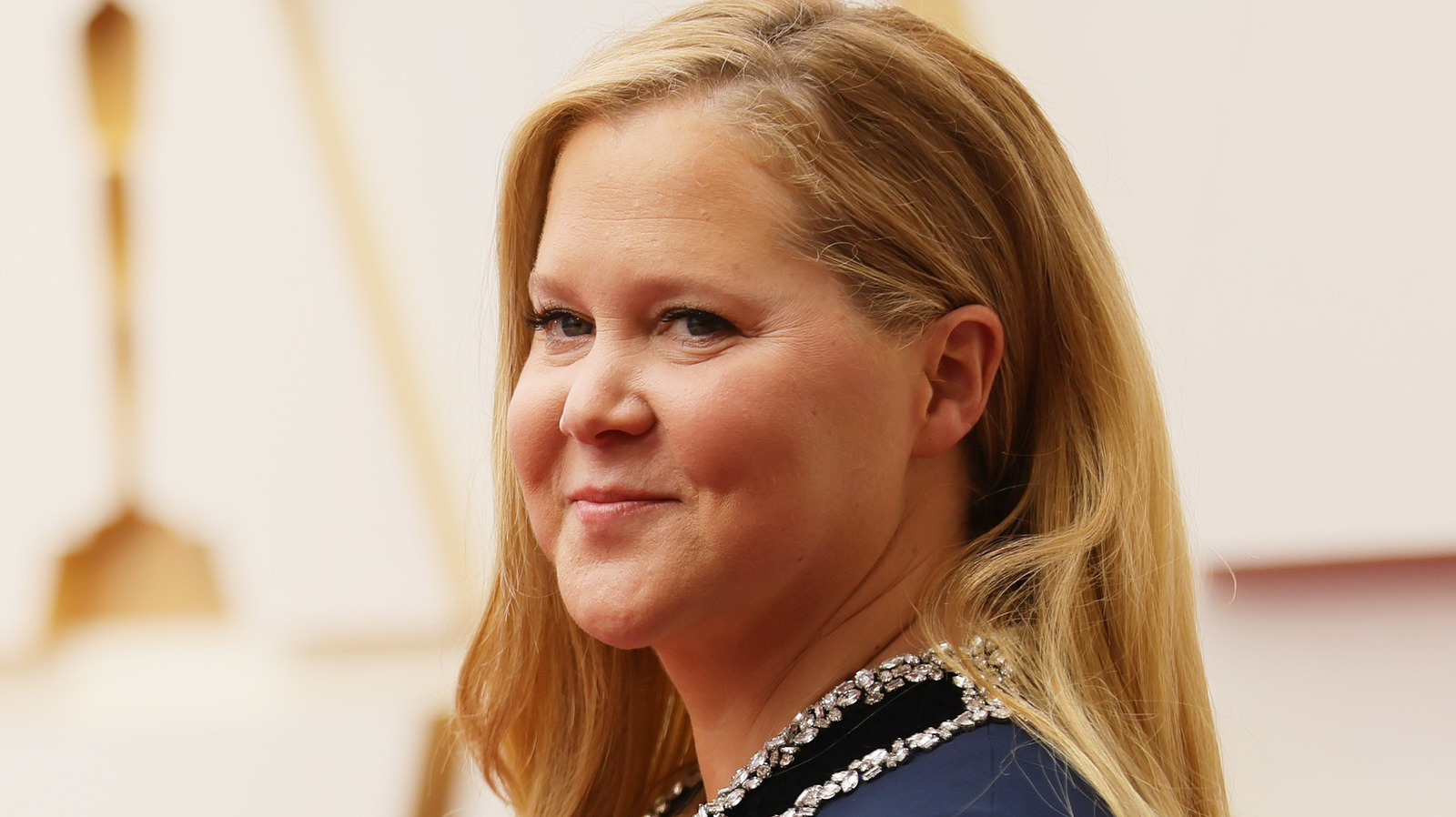 Amy Schumer's Oscars Monologue Turns Into A Fierce Roast Session