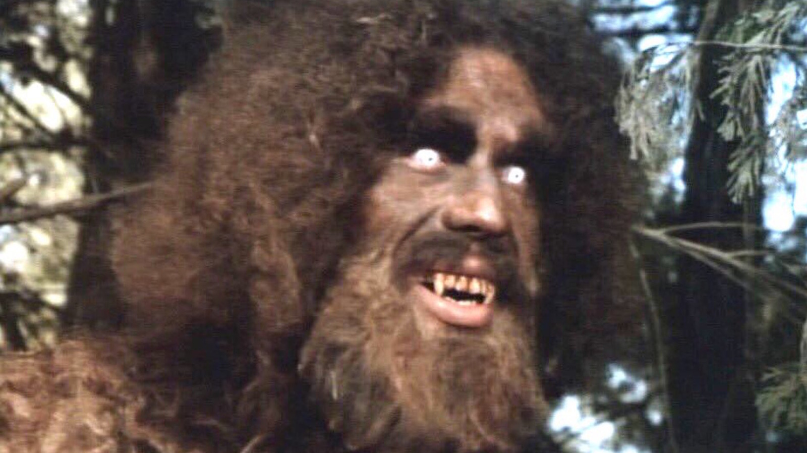 The Most Ridiculous Sasquatch Seen In Films And On TV