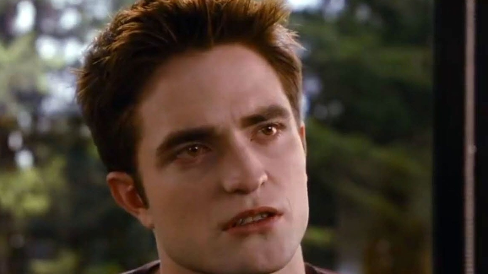 Questionable Things We Noticed During The Final Battle In Breaking Dawn Part 2