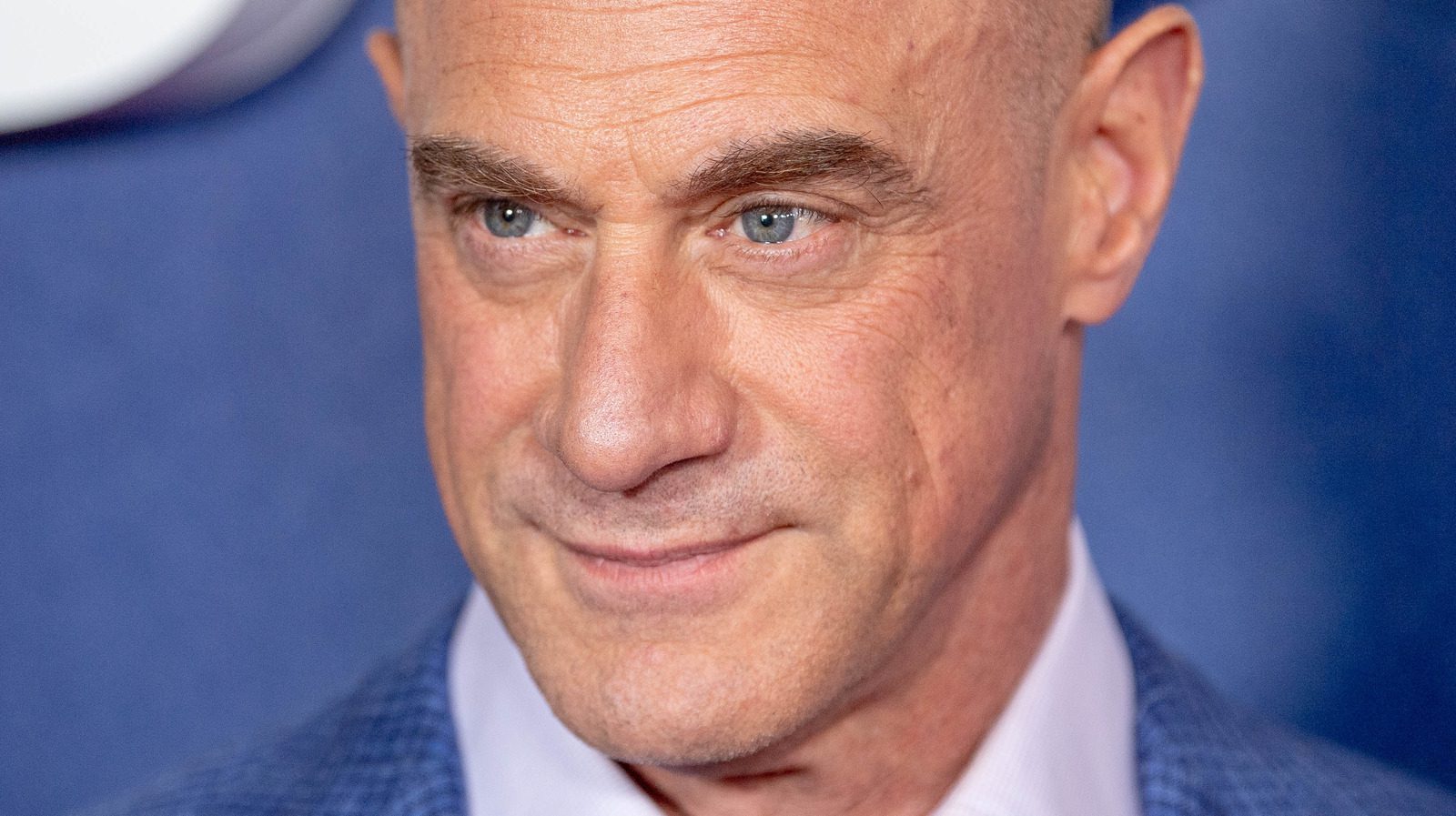 Christopher Meloni Booked More Voice Acting Work Than You Likely Think