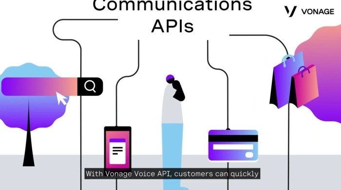 Vonage Communication API