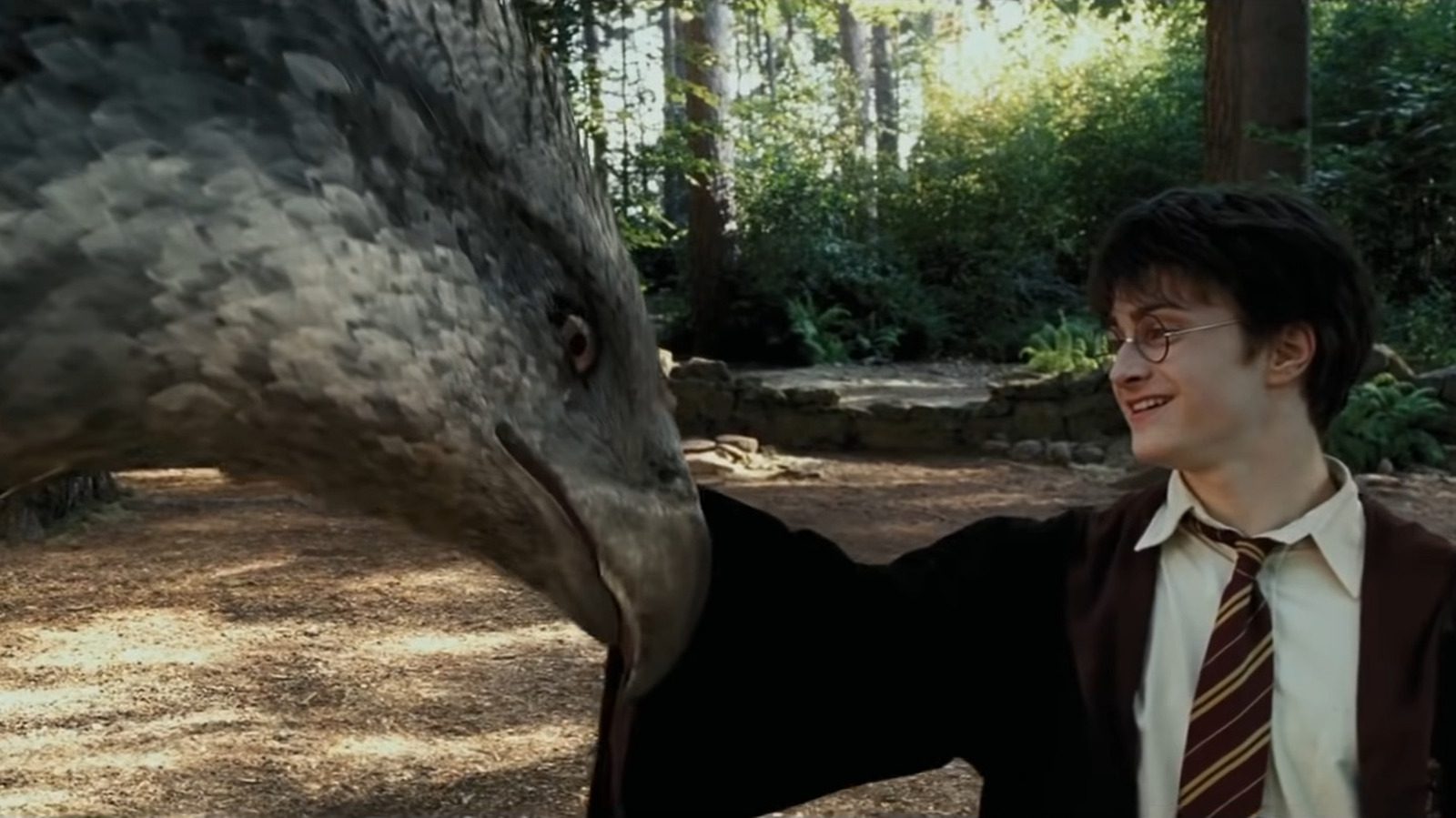Buckbeak Had A Happy Ending The Harry Potter Films Never Showed
