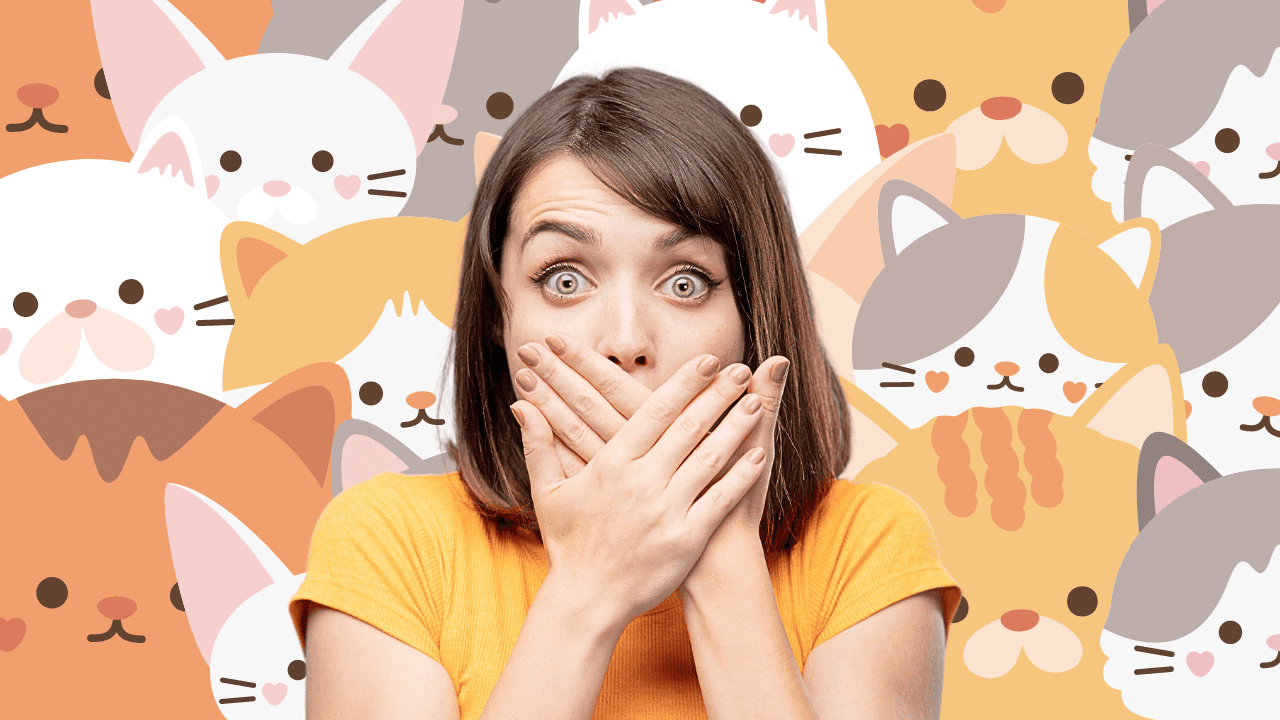 Cats Ate Her Face — TV Chuckles to Frightening Feline Facts